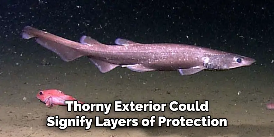 Thorny Exterior Could
Signify Layers of Protection