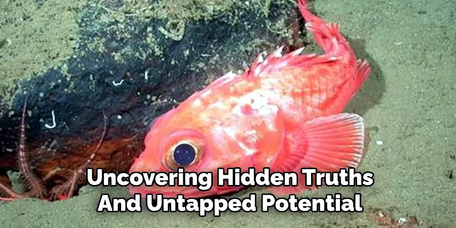 Uncovering Hidden Truths
And Untapped Potential