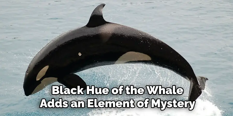 Black Hue of the Whale
Adds an Element of Mystery