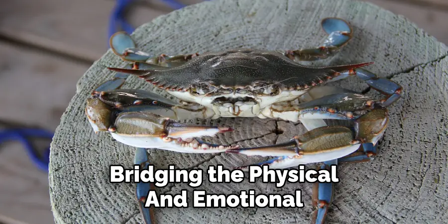 Bridging the Physical
And Emotional