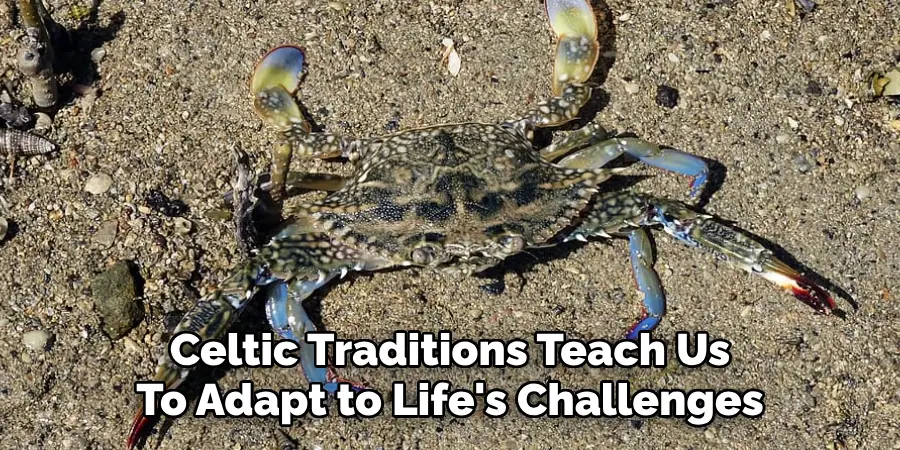 Celtic Traditions Teach Us
To Adapt to Life's Challenges