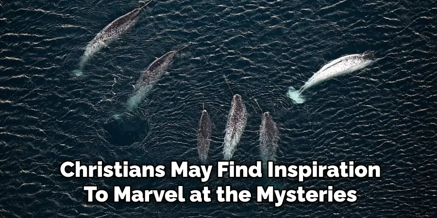 Christians May Find Inspiration
To Marvel at the Mysteries