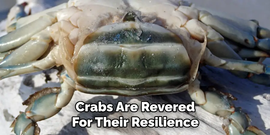 Crabs Are Revered
For Their Resilience