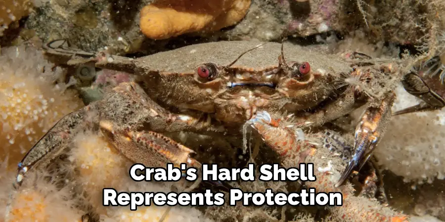 Crab's Hard Shell
Represents Protection