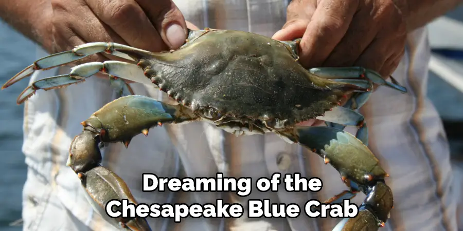 Dreaming of the
Chesapeake Blue Crab