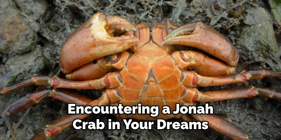 Encountering a Jonah
Crab in Your Dreams