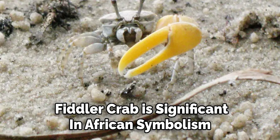  Fiddler Crab is Significant
In African Symbolism