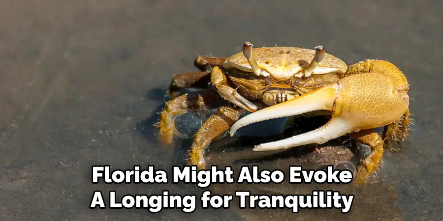 Florida Might Also Evoke
A Longing for Tranquility