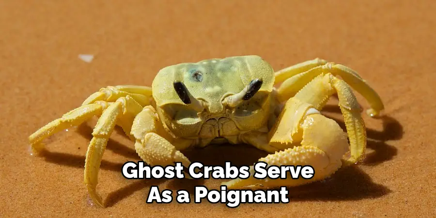 Ghost Crabs Serve
As a Poignant 