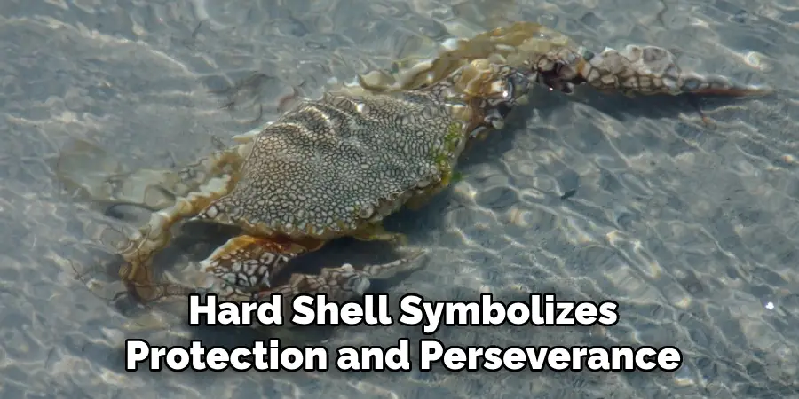 Hard Shell Symbolizes
Protection and Perseverance