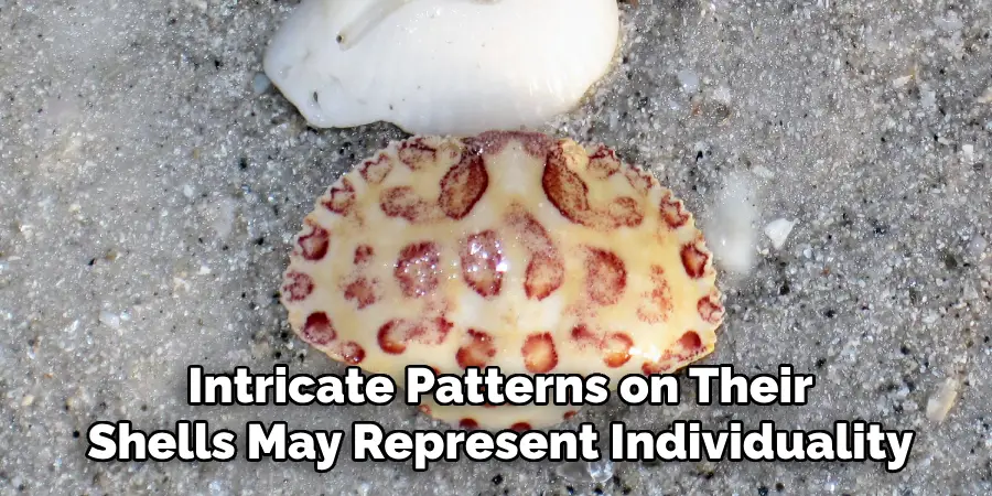 Intricate Patterns on Their
Shells May Represent Individuality