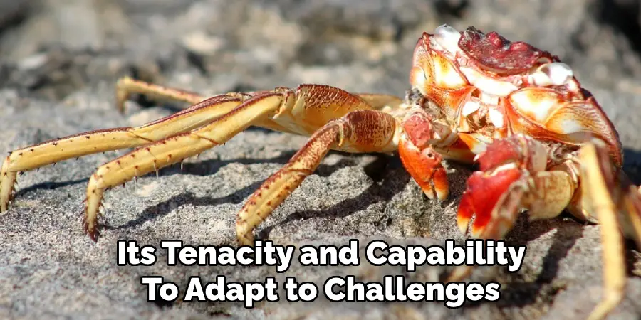 Its Tenacity and Capability
To Adapt to Challenges