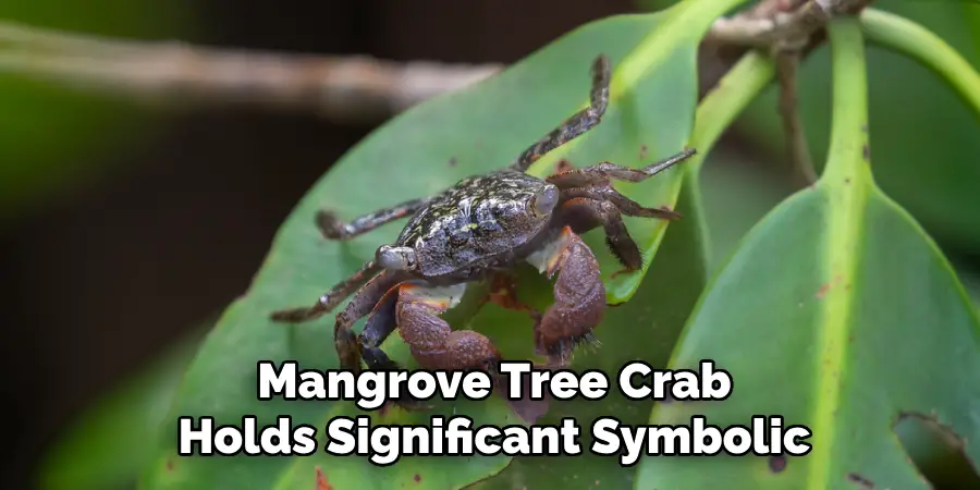 Mangrove Tree Crab
Holds Significant Symbolic