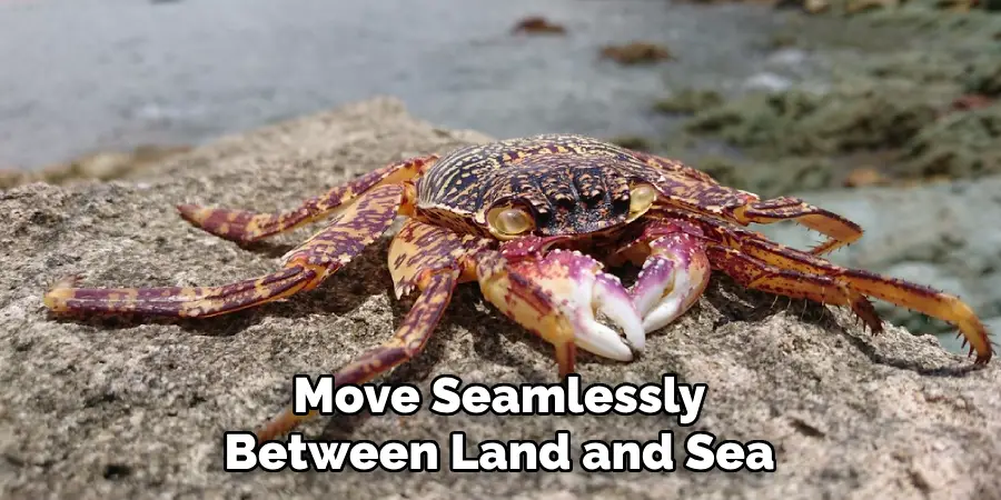 Move Seamlessly
Between Land and Sea