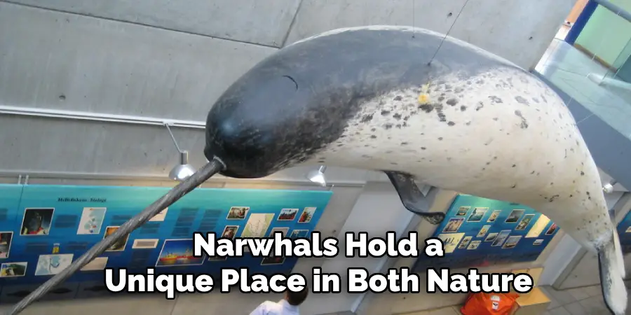 Narwhals Hold a
Unique Place in Both Nature