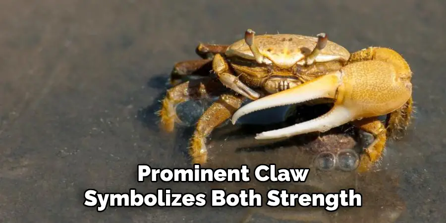 Prominent Claw
Symbolizes Both Strength