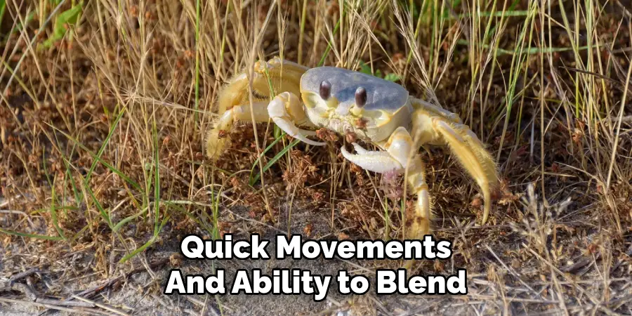 Quick Movements
And Ability to Blend