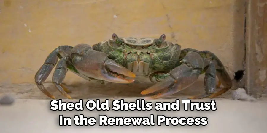 Shed Old Shells and Trust
In the Renewal Process