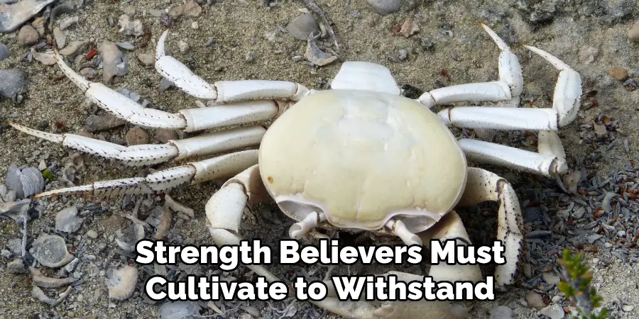 Strength Believers Must
Cultivate to Withstand