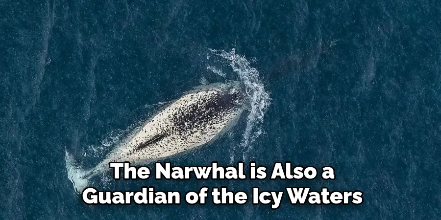 The Narwhal is Also a
Guardian of the Icy Waters