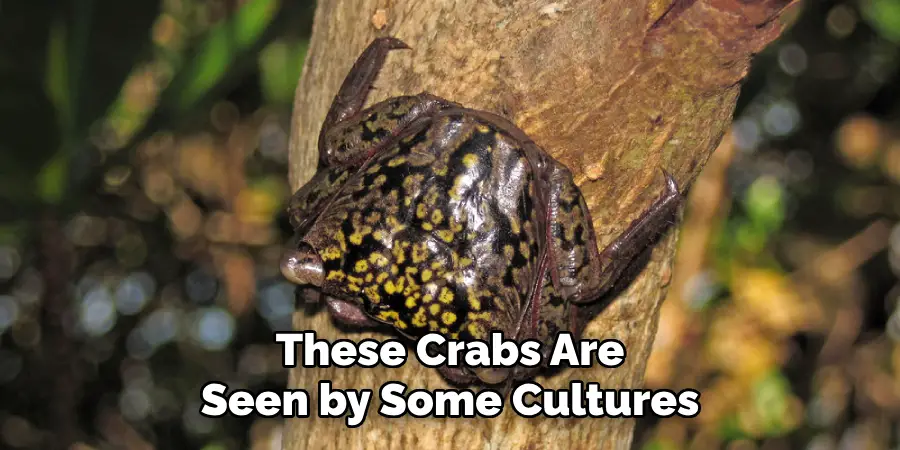 These Crabs Are
Seen by Some Cultures 