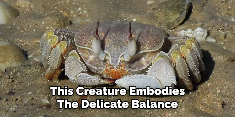 This Creature Embodies
The Delicate Balance