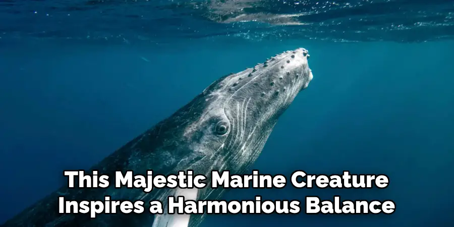 This Majestic Marine Creature
Inspires a Harmonious Balance