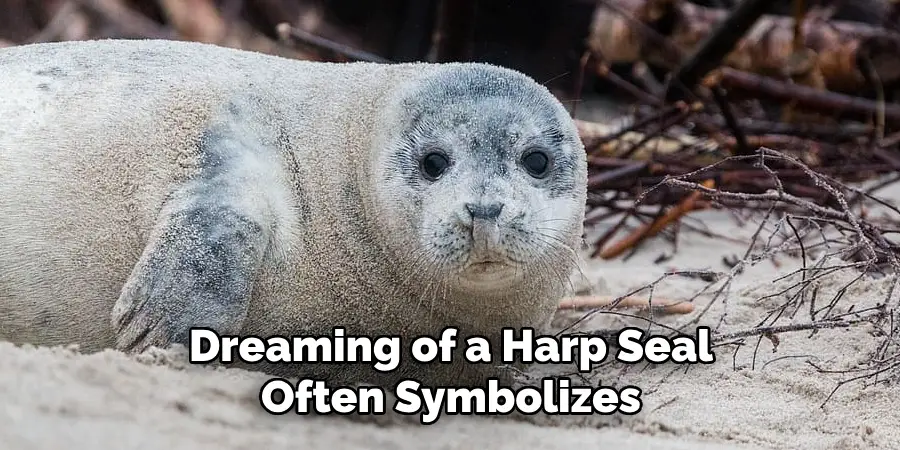 Dreaming of a Harp Seal
Often Symbolizes