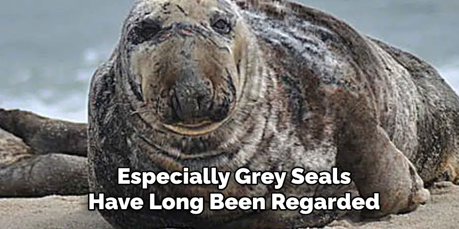 Especially Grey Seals
Have Long Been Regarded