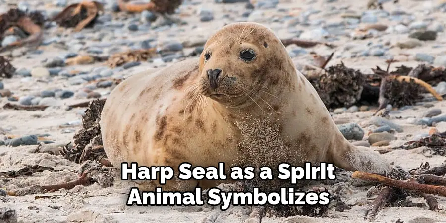 Harp Seal as a Spirit
Animal Symbolizes
