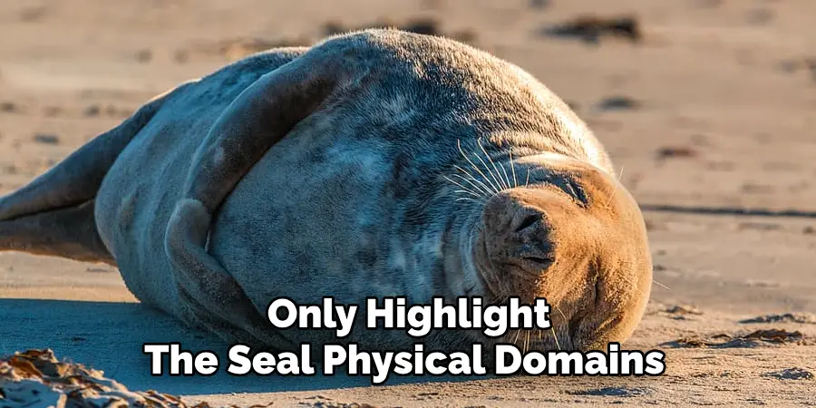 Only Highlight
The Seal's Physical Domains