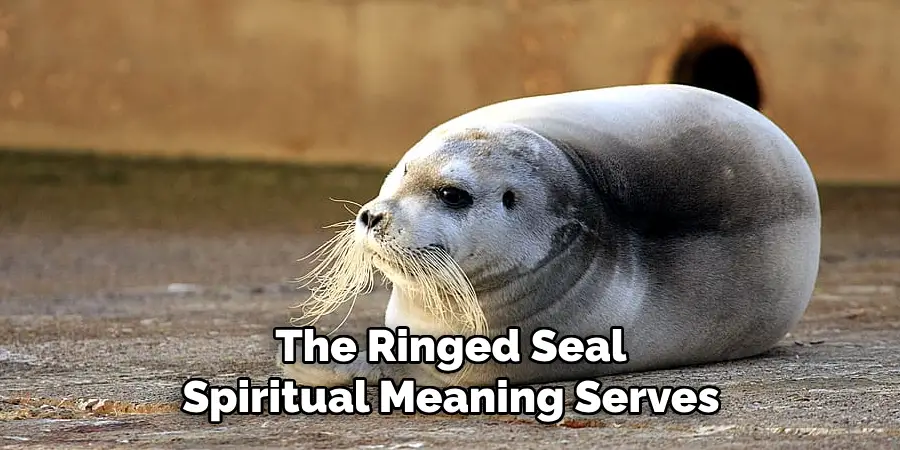 The Ringed Seal
Spiritual Meaning Serves