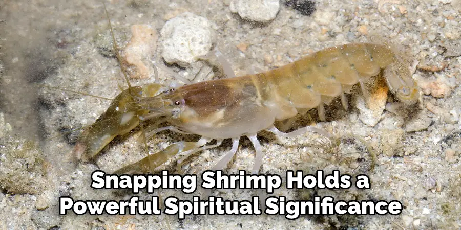 Snapping Shrimp Holds a
Powerful Spiritual Significance