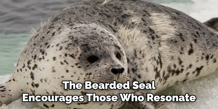 The Bearded Seal
Encourages Those Who Resonate