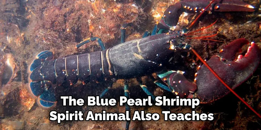 The Blue Pearl Shrimp
Spirit Animal Also Teaches