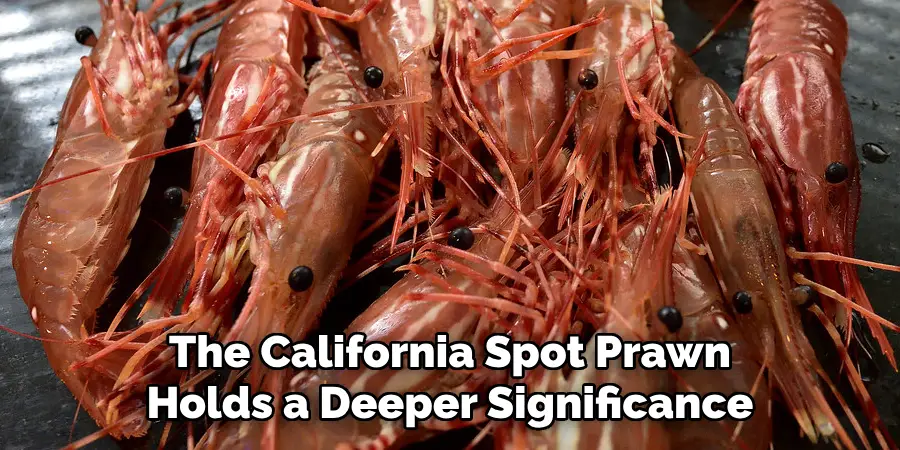 The California Spot Prawn
Holds a Deeper Significance