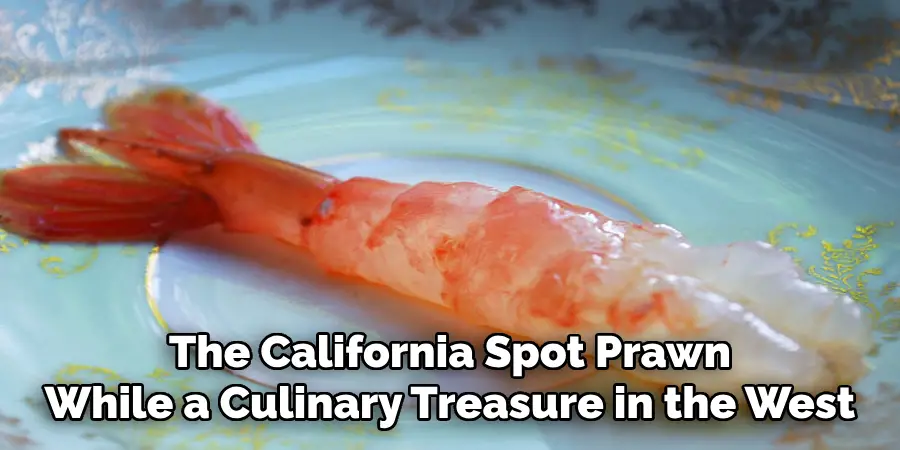 The California Spot Prawn
While a Culinary Treasure in the West