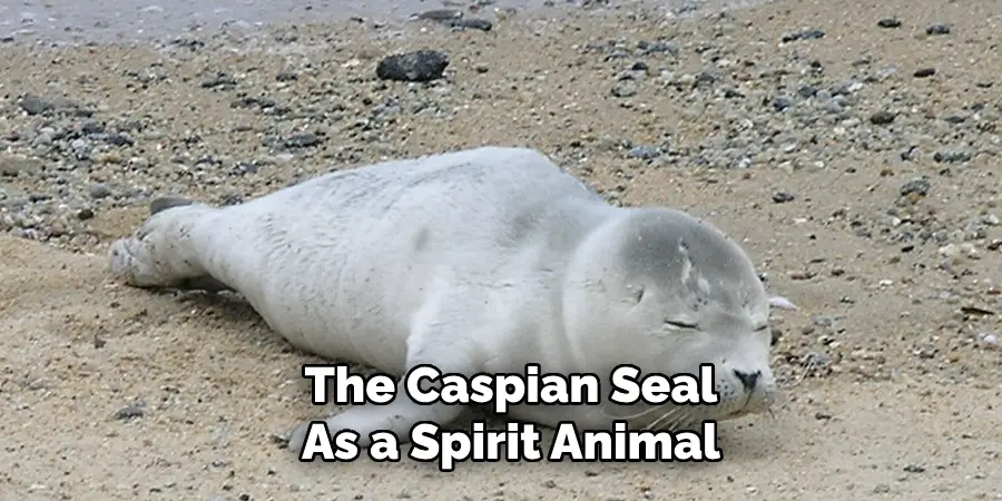 The Caspian Seal
As a Spirit Animal