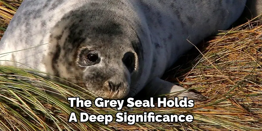 The Grey Seal Holds
A Deep Significance