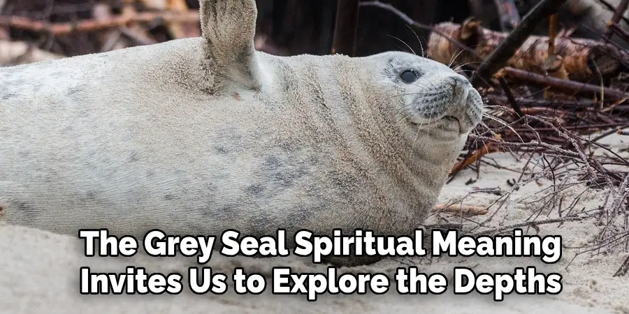 the grey seal spritual meaning invites us to explore the Depth