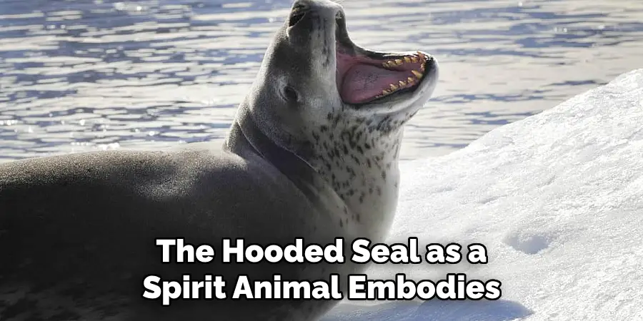 The Hooded Seal as a
Spirit Animal Embodies