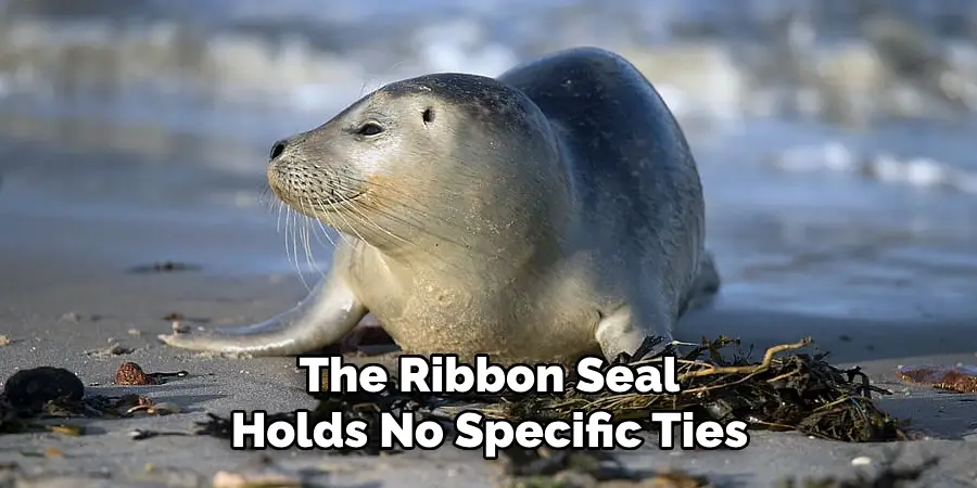 The Ribbon Seal
Holds No Specific Ties