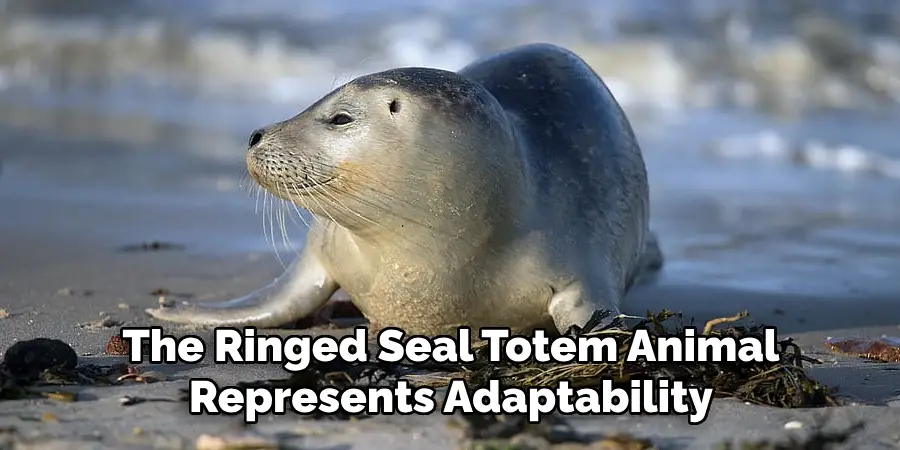 The Ringed Seal Totem Animal
Represents Adaptability