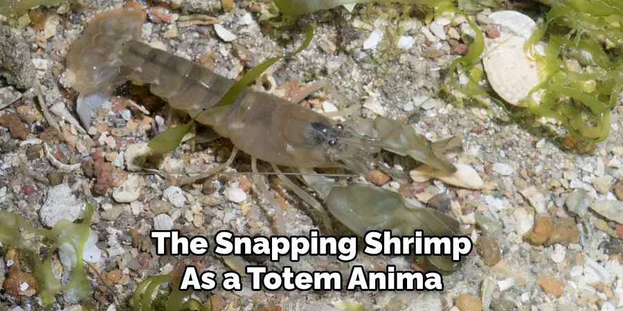 The Snapping Shrimp
As a Totem Anima