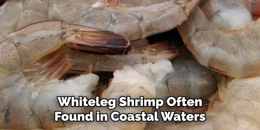 Whiteleg Shrimp Often
Found in Coastal Waters