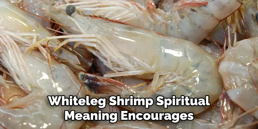 Whiteleg Shrimp Spiritual
Meaning Encourages