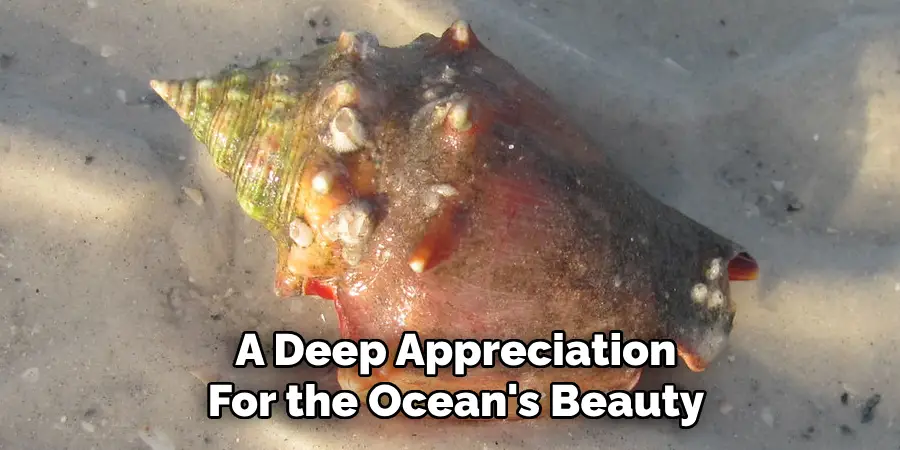 A Deep Appreciation
For the Ocean's Beauty