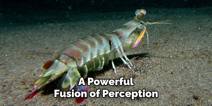 A Powerful
Fusion of Perception