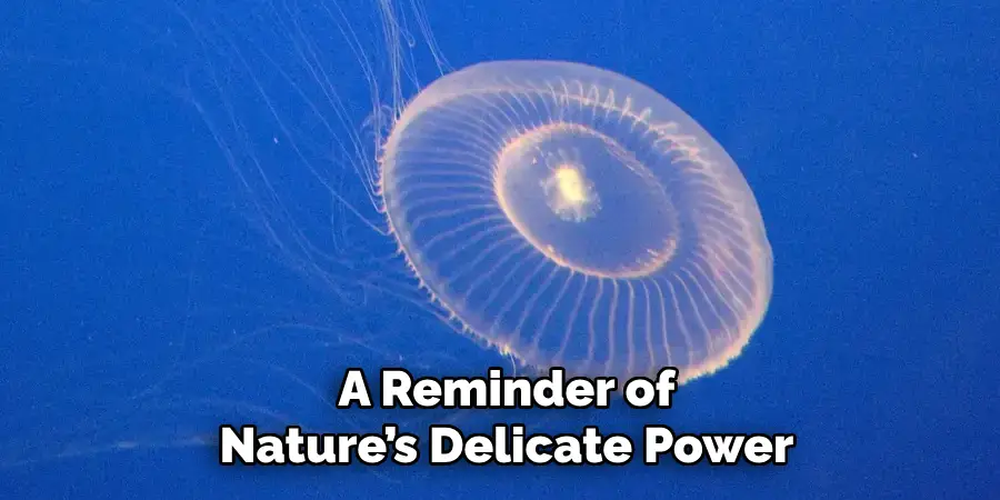 A Reminder of
Nature’s Delicate Power