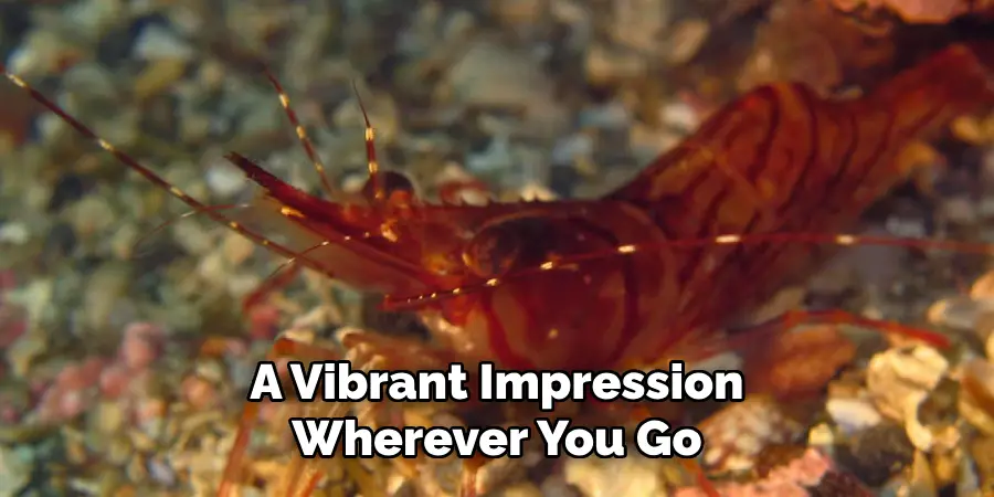 A Vibrant Impression
Wherever You Go